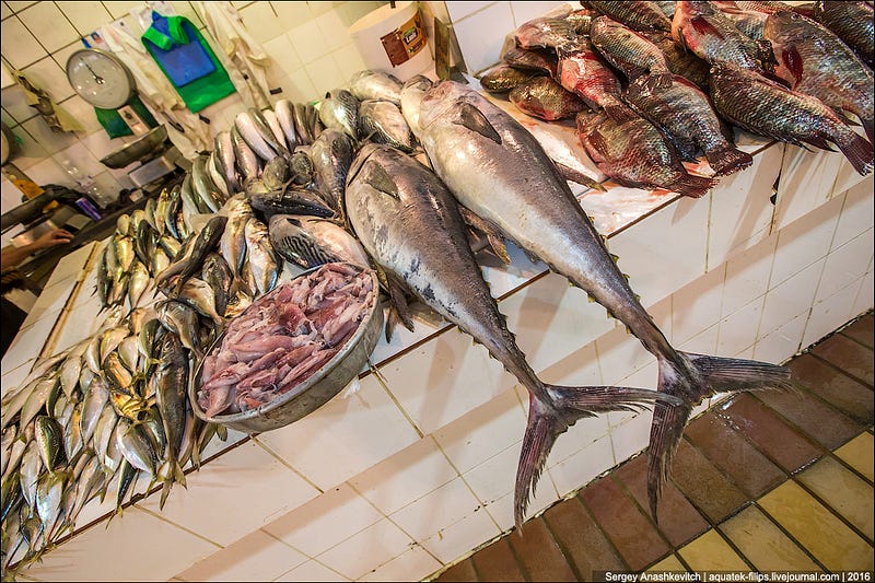 Kuwait Fishmarket / Рыбный рынок в Кувейте