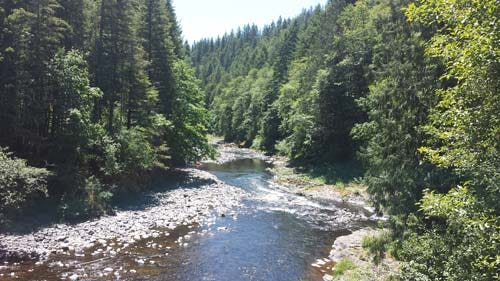 wilsonriver