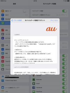 AppleSIM00025