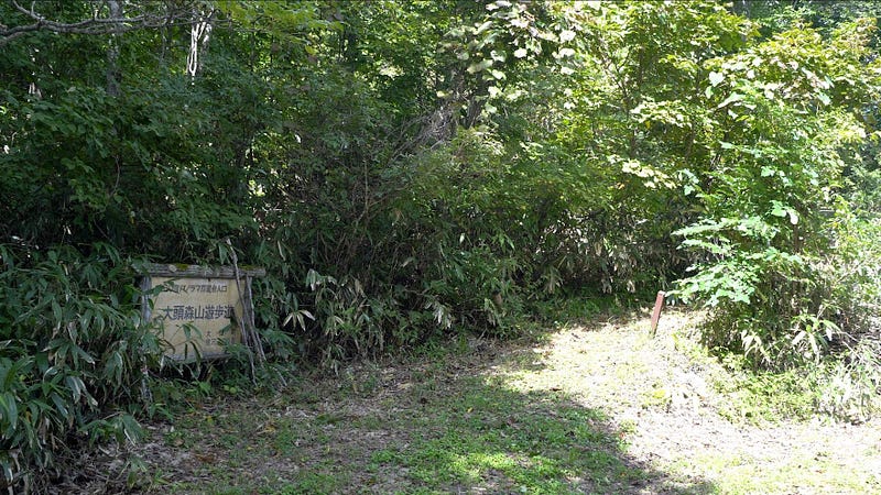 A sign covered in thick bush marks the trailhead to Daizumori-yama and the lookout at the summit.