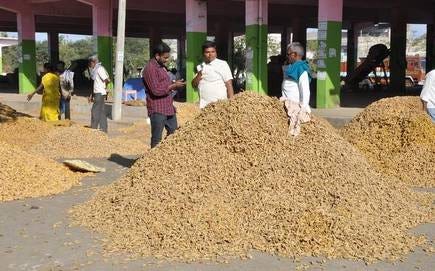 agriculture in india