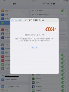 AppleSIM00029