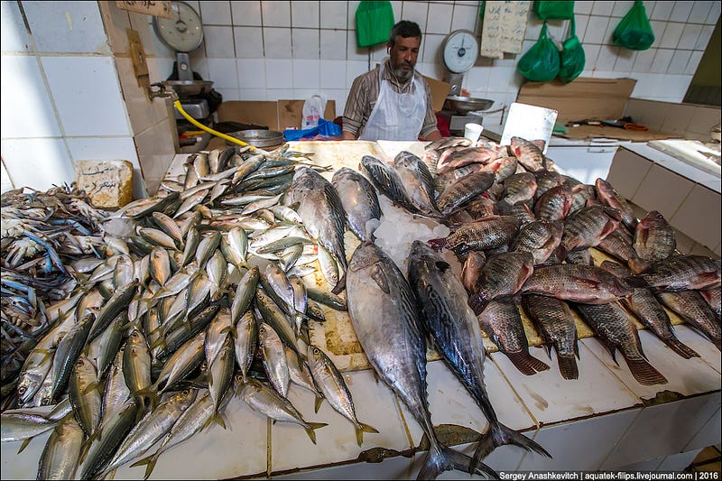 Kuwait Fishmarket / Рыбный рынок в Кувейте