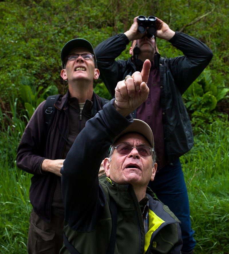 Ken Salzman, front, Bill Denham, middle, and Mike Tanis, locate a bird during a North Cascade Audubon Society outing near Lake Whatcom.