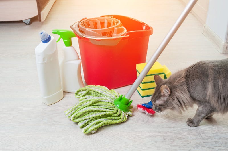 Pet odour removal