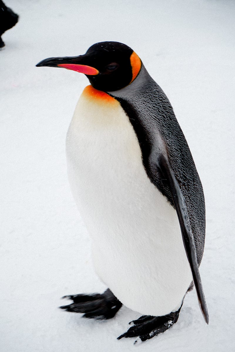 Linux: Navigate directories the easiest way possible