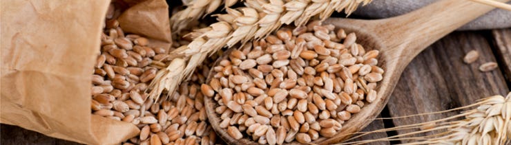 Gluten free diet