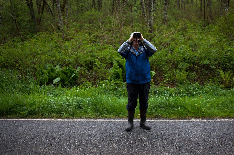 Dick Porter, a Fairhaven resident who has been birding for five years, peers through binoculars looking for a woodpecker.