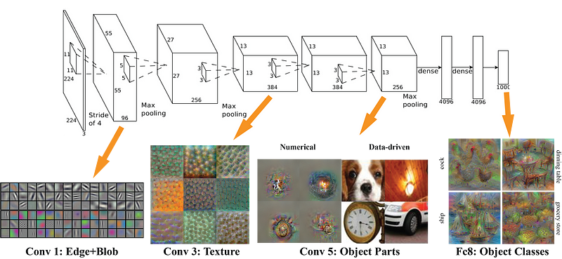 Visualisation of AlexNet at every steps