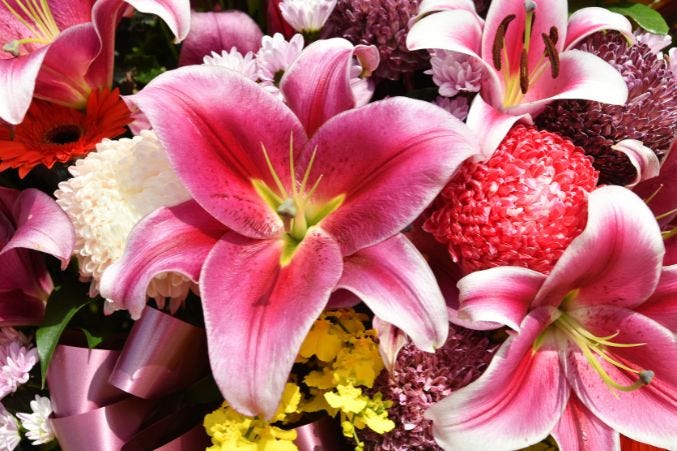 Best Anniversary Flowers by Year and What They Quietly Say