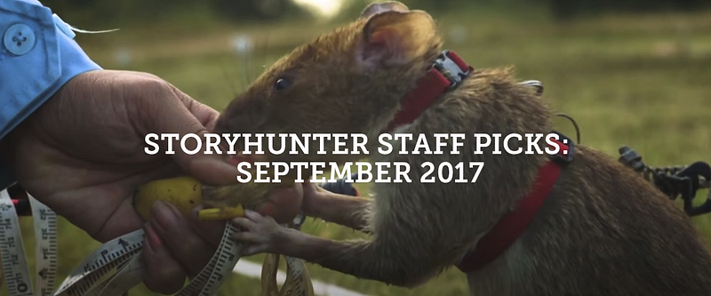 Storyhunter Staff Picks of the Month: September 2017