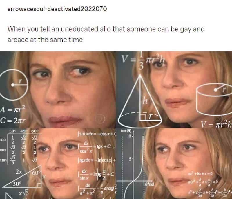 The complicated math meme, captioned: When you tell an uneducated allo that someone can be gay and aroace at the same time.