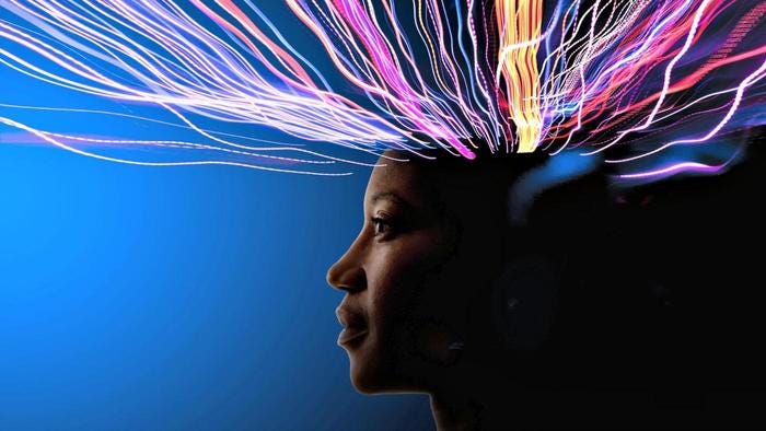 sensory input to brain
