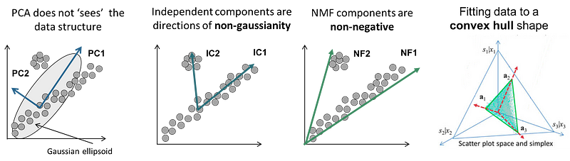 Visualization of Principal Component Analysis (PCA) and Independent Component Analysis (ICA) applied to gene expression data, highlighting their roles in reducing dimensionality and identifying independent sources of variation in transcriptomic analysis.