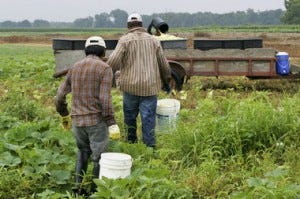 Alabama Official Suggests Using Prisoners As Farm Workers After ...