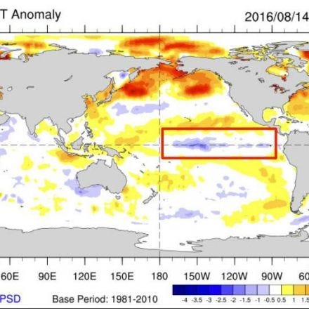 La Niña Likely to Be a No-Show This Fall and Winter
