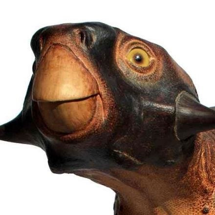 Scientists reveal most accurate depiction of a dinosaur ever created