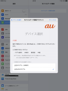 AppleSIM00009