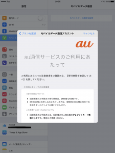 AppleSIM00006