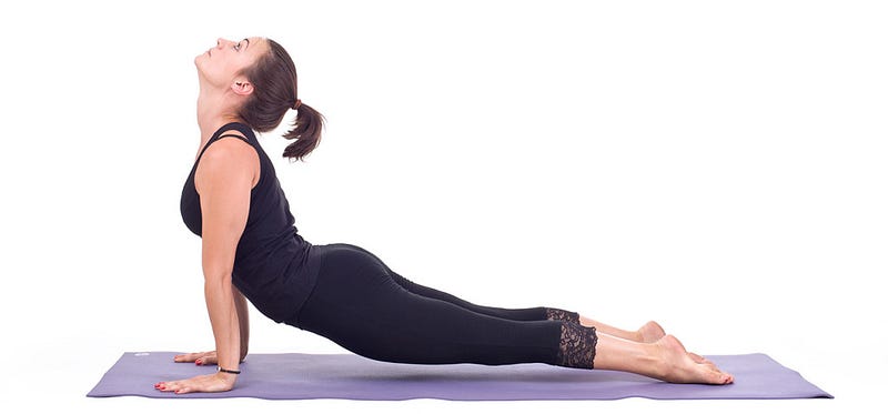 Upward Facing Dog (Urdhva Mukha Svanasana)