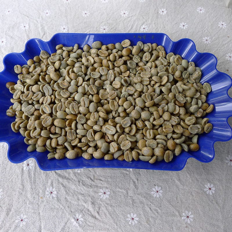 Costa Rica Yellow Honey Processed Roasted Coffee Beans — San Juan Yö Estate Villasarc Variety