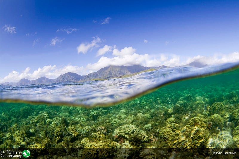 Oceans are at a crossroads. We must seize the opportunity to sustain them.  #OurOcean