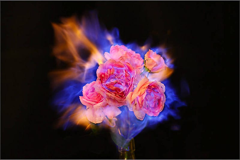 fireflowers-6-900x600