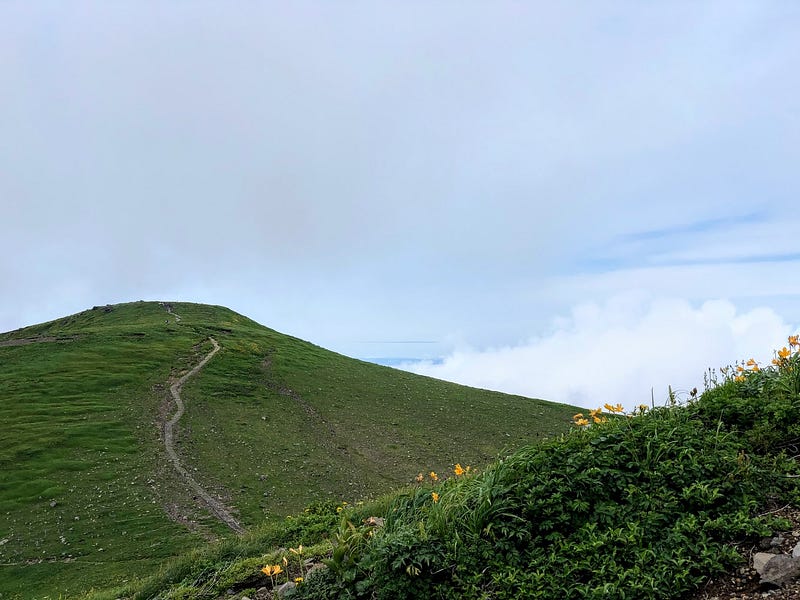 The Hokodate Trail winds its way over a green hill on Chokai-san (Mt. Chokai), grey sky with blue patches in the distance and yellow dawn lilies in the foreground.