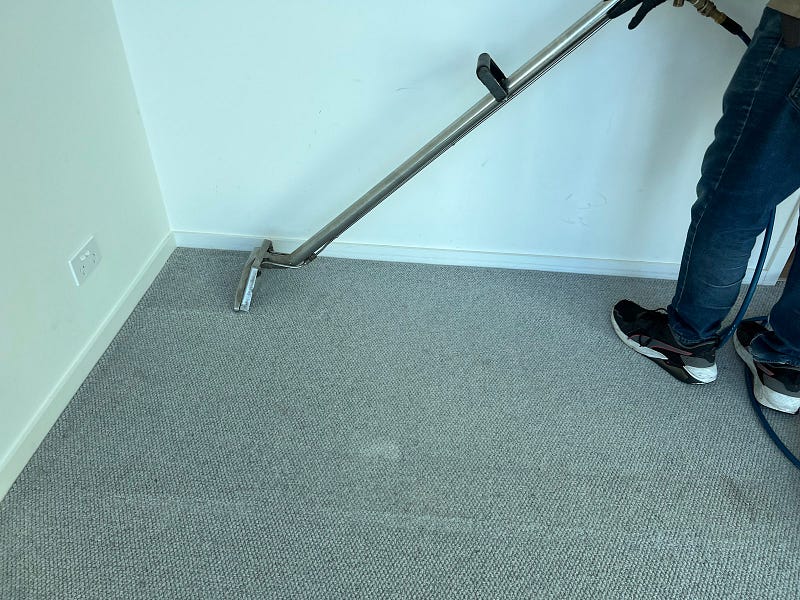 Carpet steam cleaning for allergies