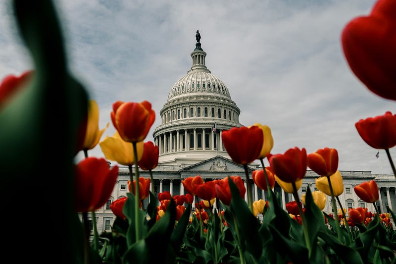 Use The High Holidays (4/20 and 7/10) to Contact Your Representatives About Legalization