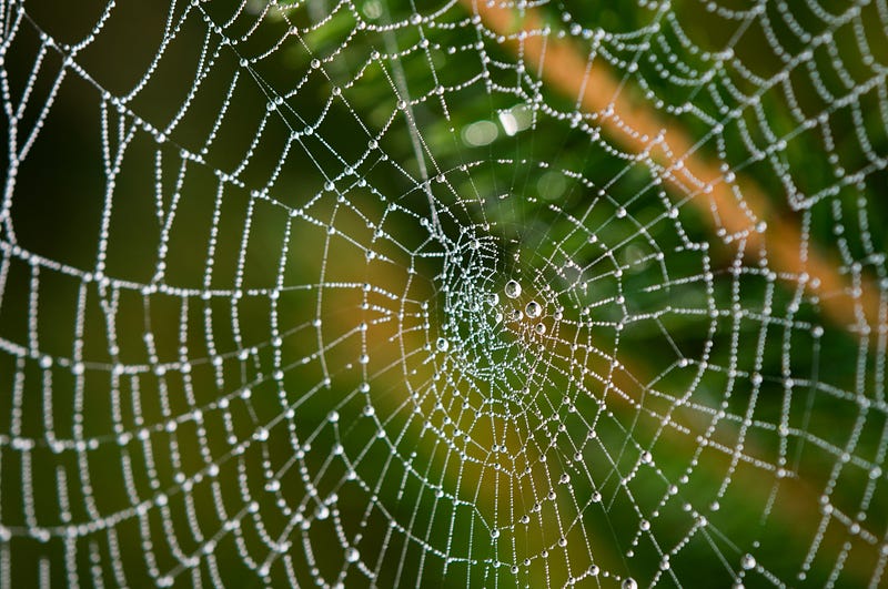 Linux: Create a one-line web server in bash that will execute shell commands.