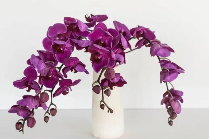 Flower Meanings Guide: Symbolism of Popular Flowers Explained