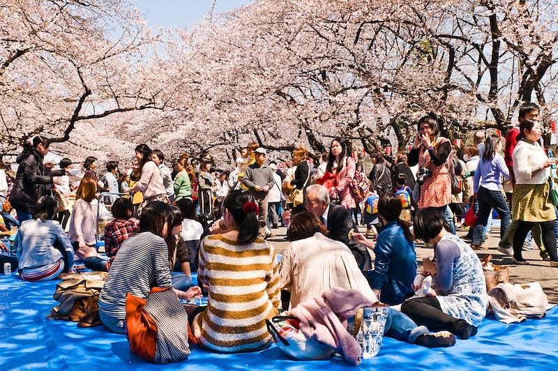 People enjoy a hanami party in Tokyo’s Ueno Park