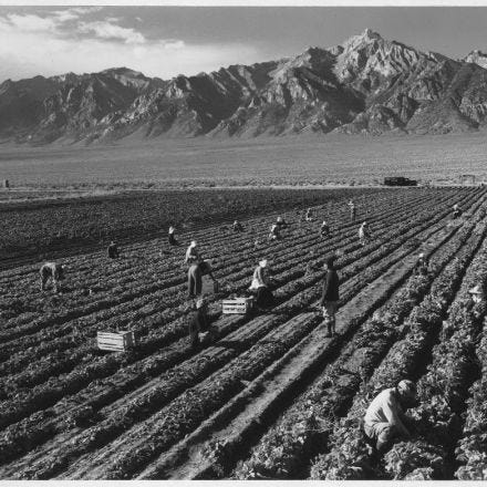 Ansel Adams's Photographs of Japanese-American Internment at Manzanar