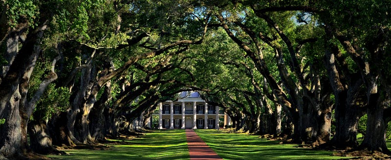 Featured image for Getting Married in a Plantation Home is Not Okay
