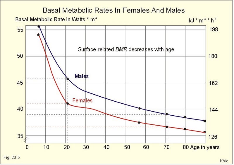 How To Calculate Bmr For Weight Loss