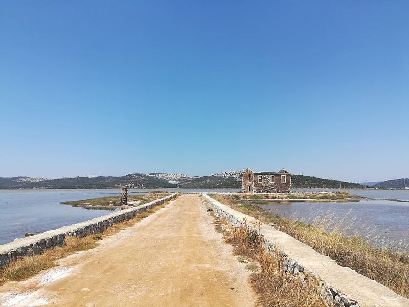 Bargilya Kuş Cenneti