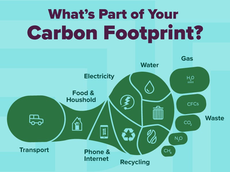 Illustration portraying a carbon footprint through a segmented footprint, delineating specific consumption areas to emphasize the diverse environmental impact of individual choices.