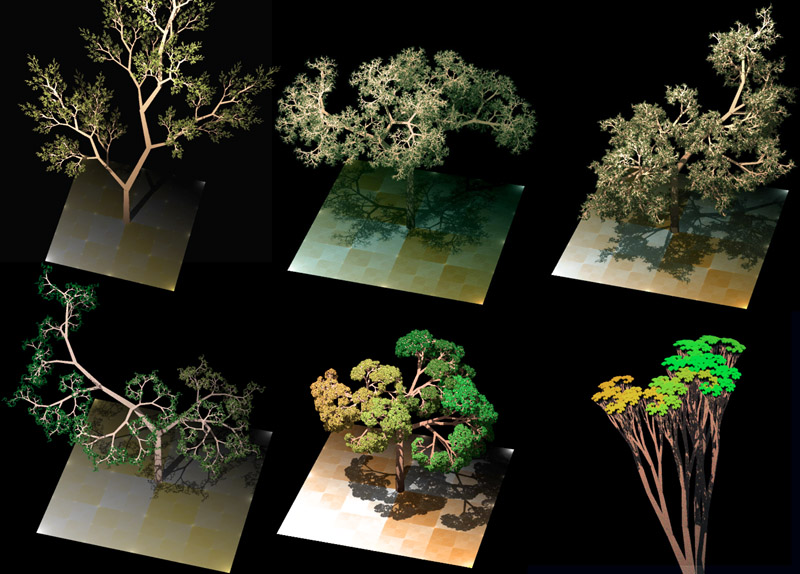 Procedurally generated trees