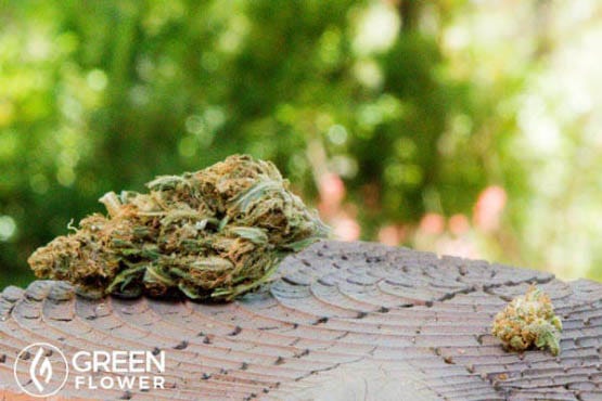 Microdosing_Article_04_600x400-web