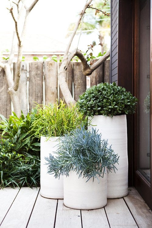 Let's Talk About Plants