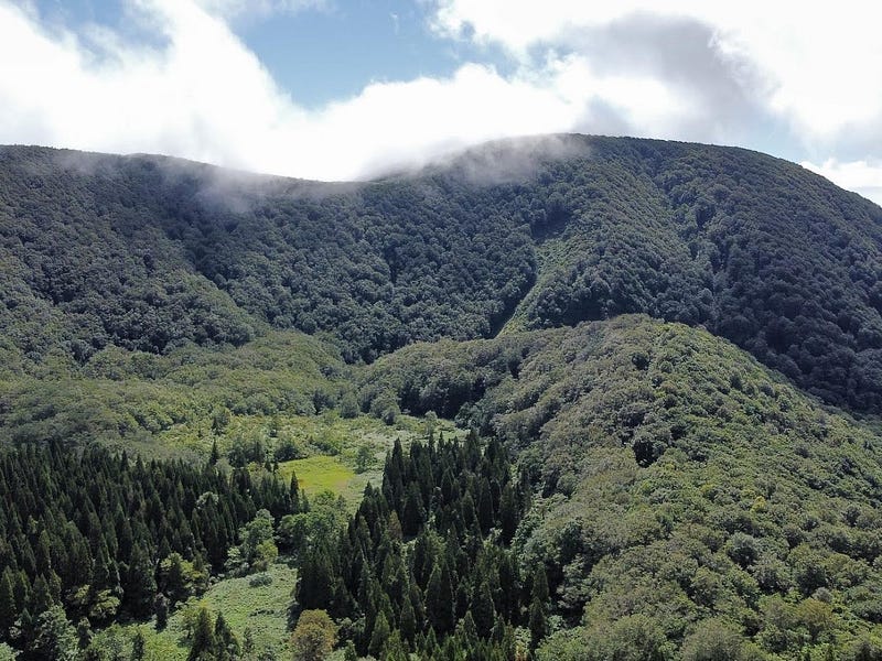 Okina-san with its summit shrouded in mist.