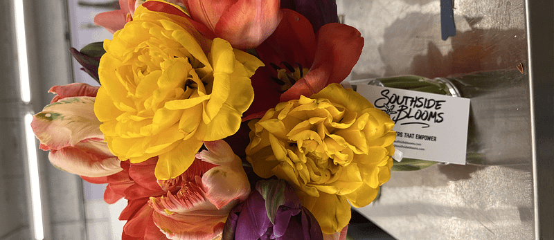 5 Most Dangerous Yet Beautiful Flowers in the World