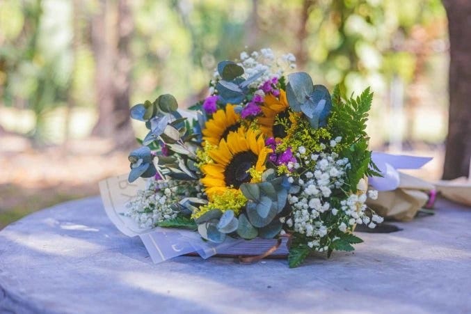Flower Meanings Guide: Symbolism of Popular Flowers Explained