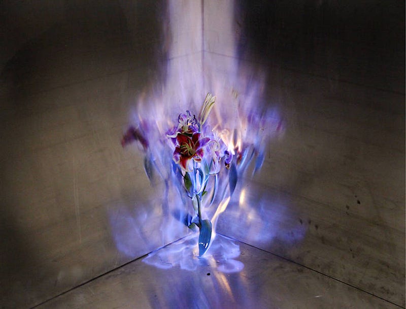 fireflowers-1-900x684