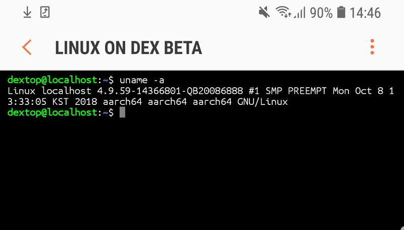 Linux on DeX running in terminal mode on the phone.