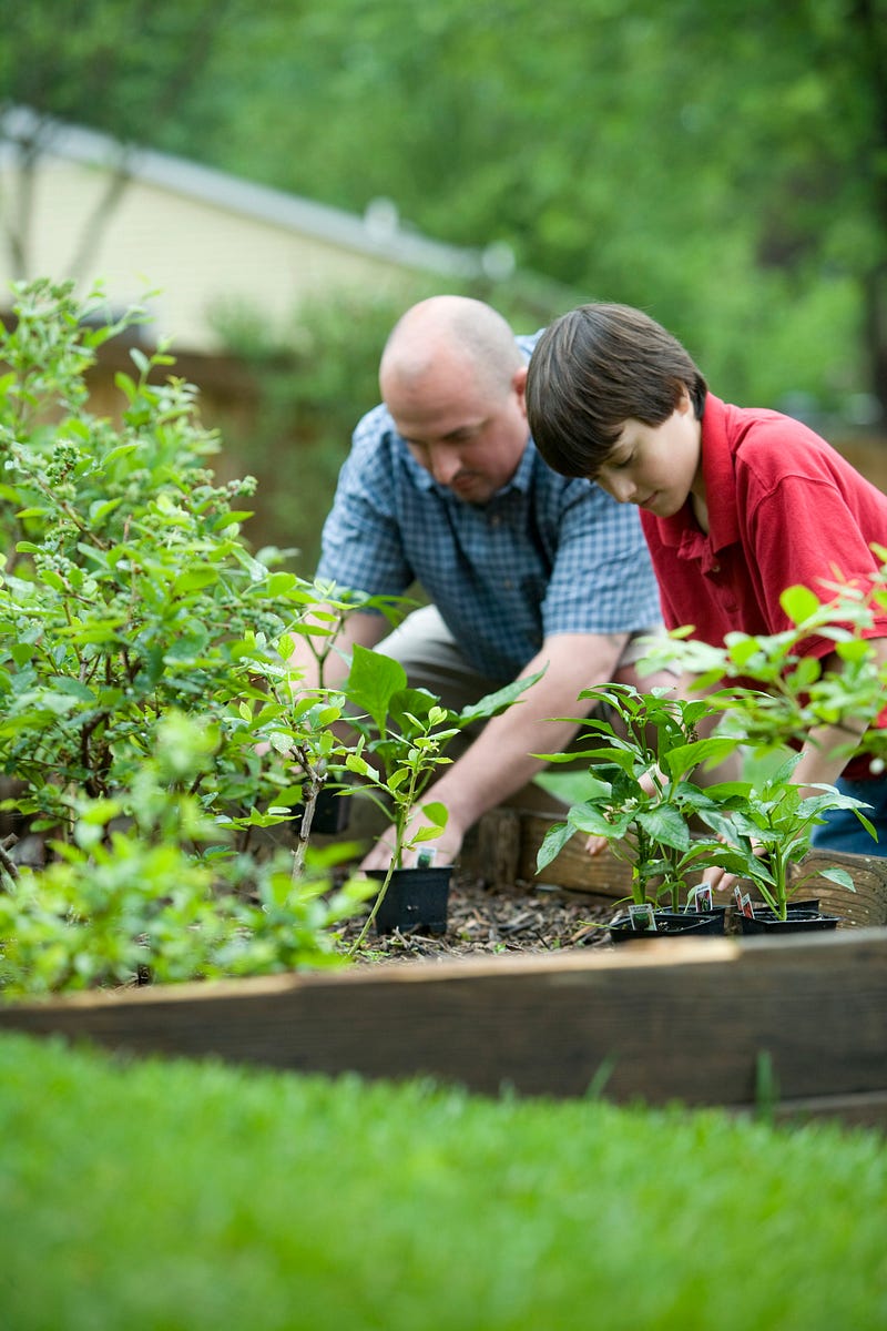 How to Make Money Writing a Blog about Gardening for Beginners