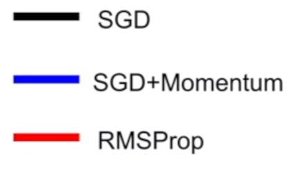 RMSProp Label