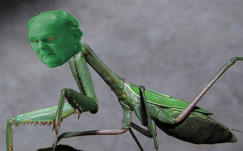 KIDS ASK Praying Mantis2