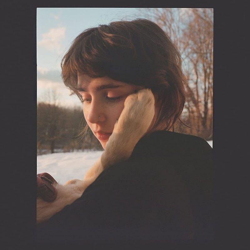 Sling by Clairo album art